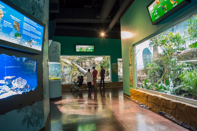 Loveland Living Planet Aquarium — Asia Exhibit